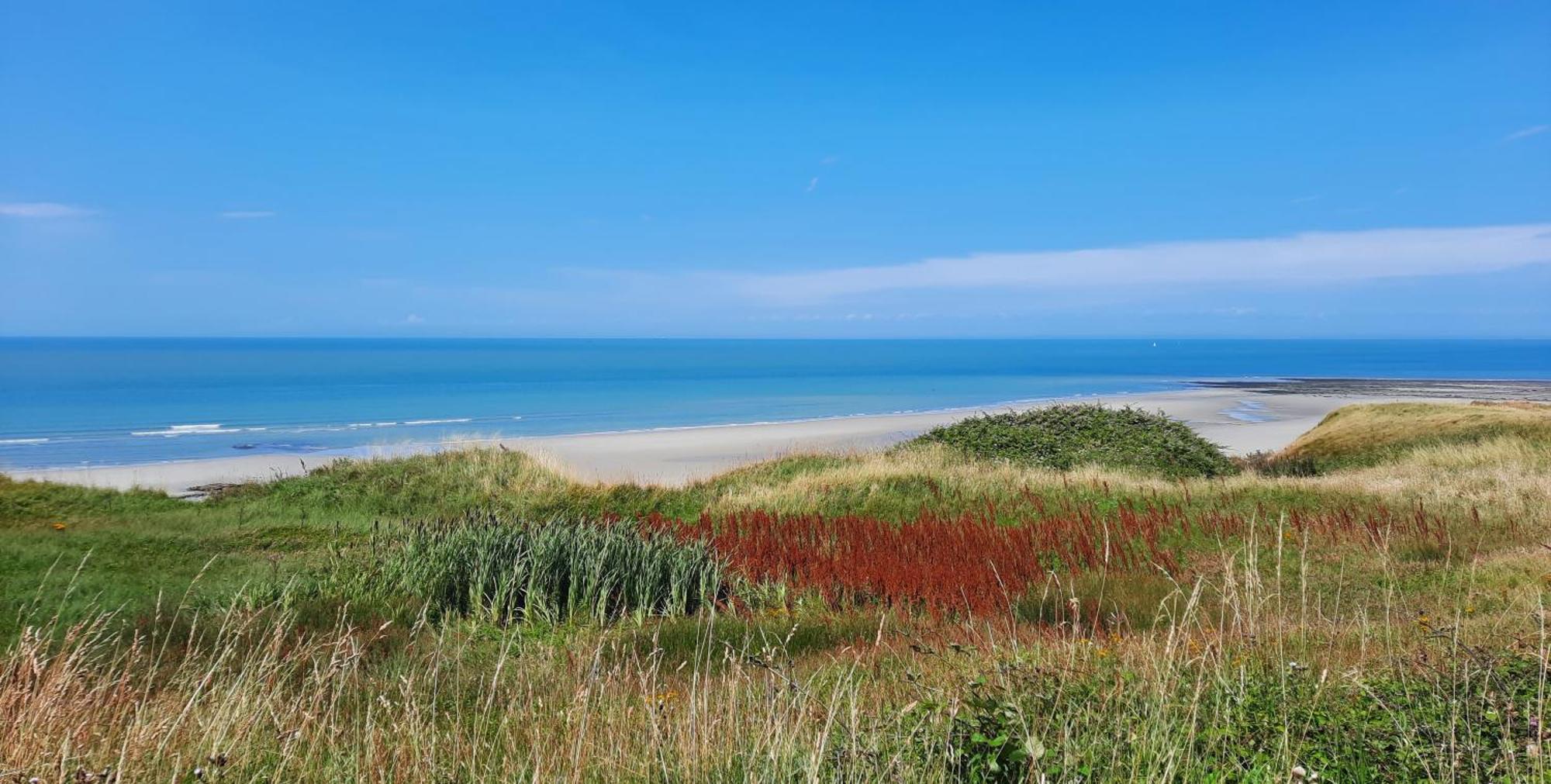 Le 246 - Duplex face à la mer pour 4 personnes, Wifi, TV full Sat, Parking Wimereux Extérieur photo